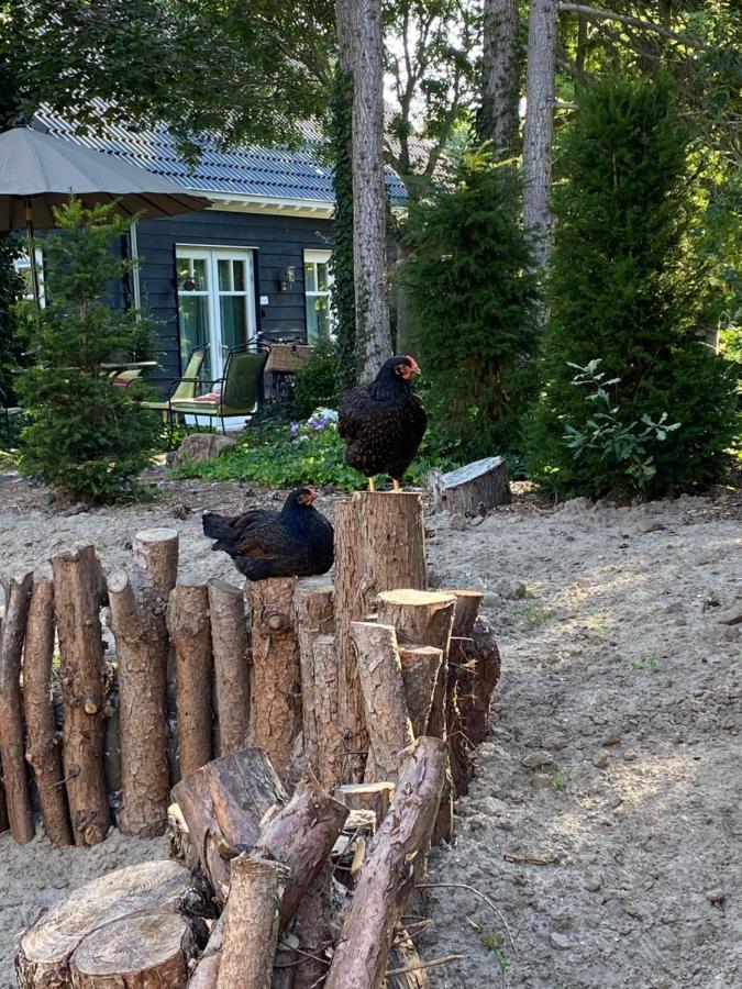 Schuringse Klasse Numansdorp Eksteriør billede